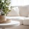 couch table and plant