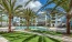 Poolside area with palm trees 